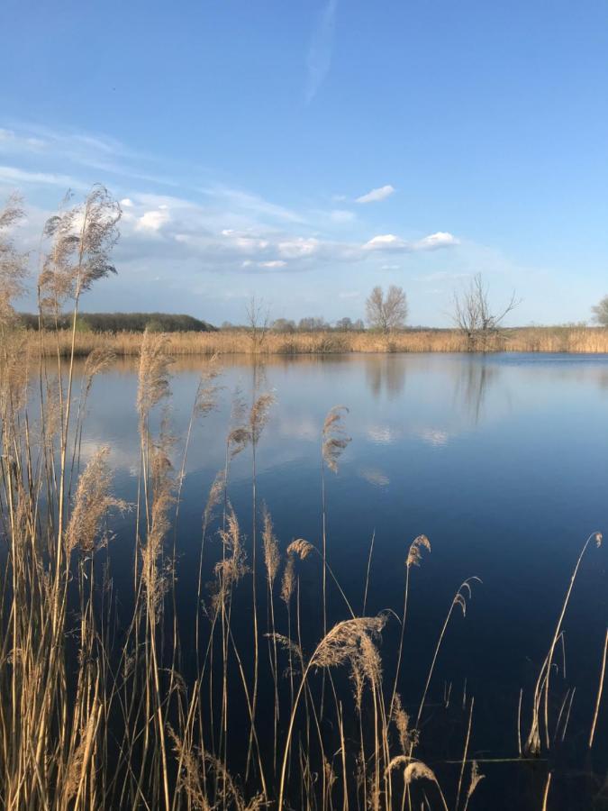 Ferienwohnungen Marita Salzwedel Exterior foto